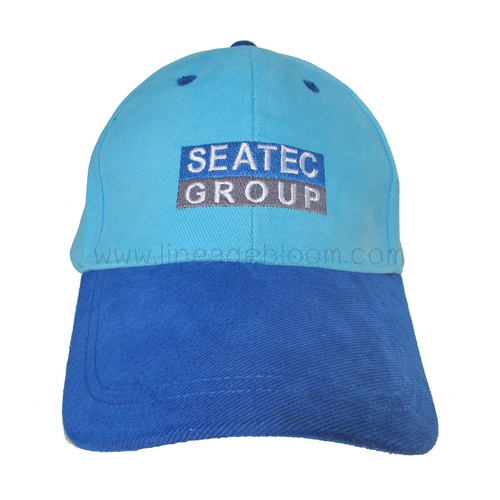 หมวกแก๊ป SEATEC หมวกแบบ 6 ชิ้น