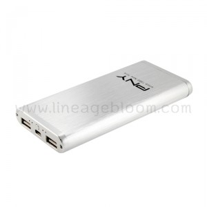 power bank PNY T82 Silver
