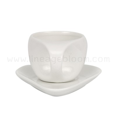 CM-10-2 ลายน้ำ