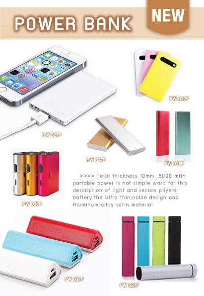 Power Bank
