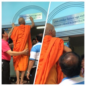 ภาพที่ 017 ภาพที่ 017