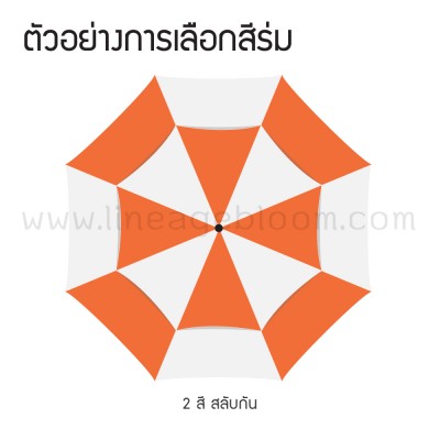 ตัวอย่างการเลือกสีร่ม10LG