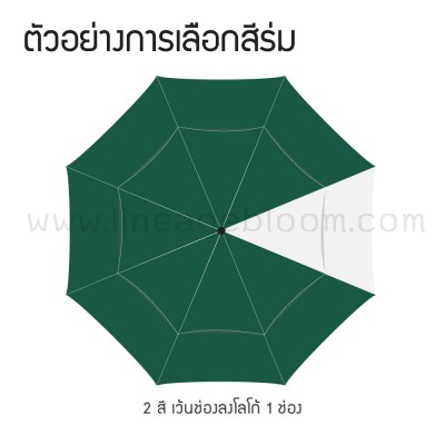 ตัวอย่างการเลือกสีร่ม11LG